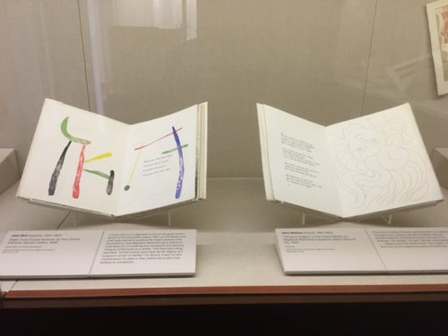 Illustrated books on display